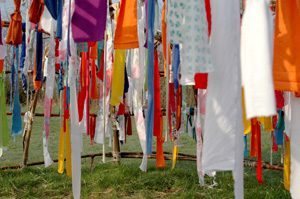 Yoga Workshops