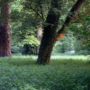 Fotografie Alexander Weithorn