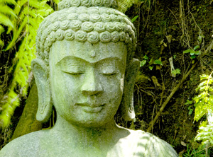 Yoga Workshops