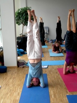 Yoga Workshops