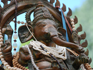 Yogalehrer Fortbildung