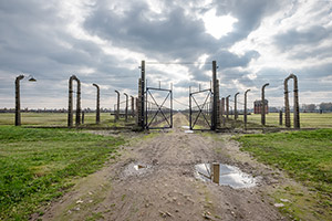 Stacheldrahtzäune im Lager Auschwitz-Birkenau