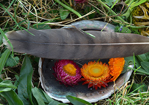 Regenbogen-Lehrzeit