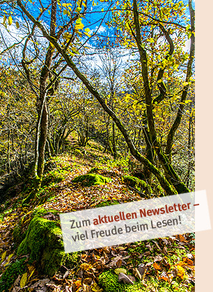 Wald